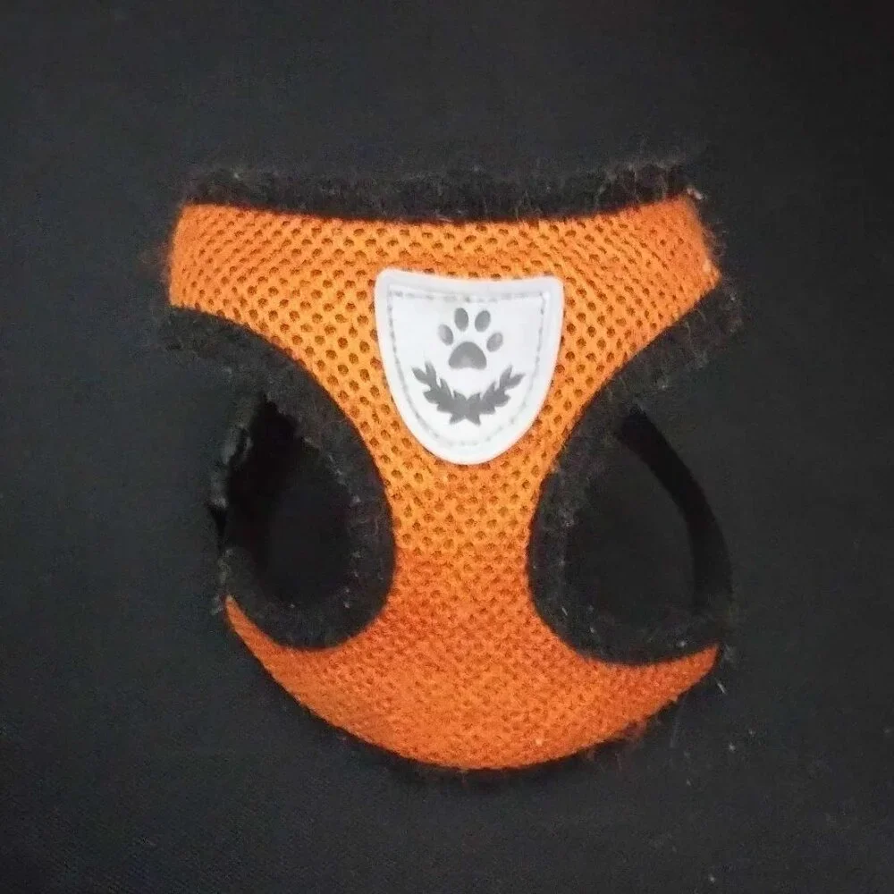 Size Small - Reflective Kitty Cat Harness and 45